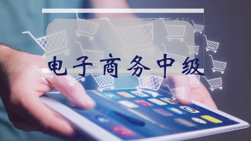 亚马逊代运营合同模板：免费获取与关键要素解析