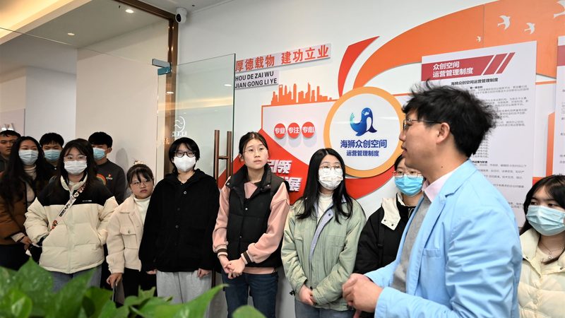 电商孵化企业服务流程：揭秘电商新势力崛起之路